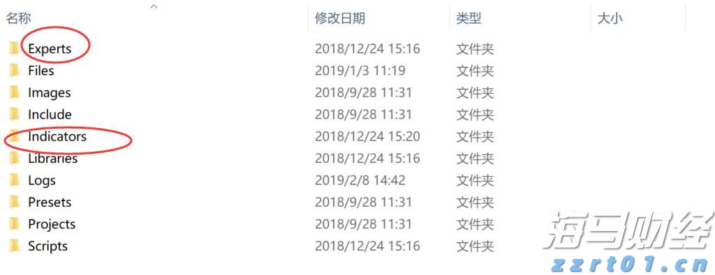 全区特殊教育学科中心组能力提升活动在我市举办