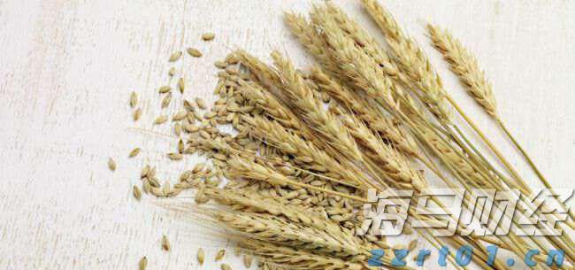 比特币突破12万美元关口 投资者关注监管新政与重磅IPO