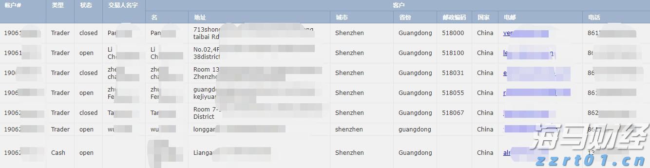 野村Q2投资布局聚焦AI及高波动性股票，重仓特斯拉期权