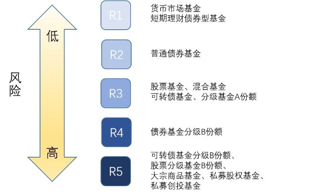 新赛道上“合力”加速跑