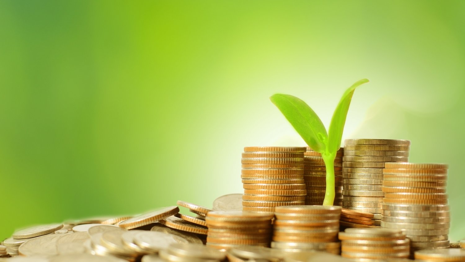 对冲基金Q2持仓分析：科技股成重点投资目标，巴菲特与Tepper加码联合健康（UNH.US）